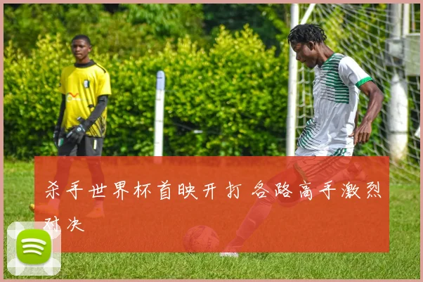 杀手世界杯首映开打 各路高手激烈对决