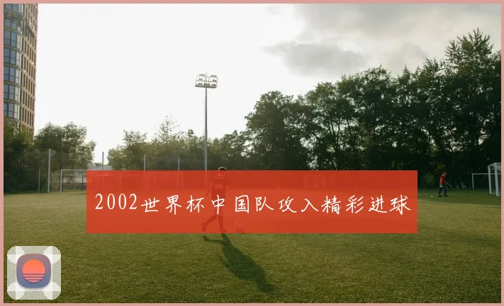 2002世界杯中国队攻入精彩进球