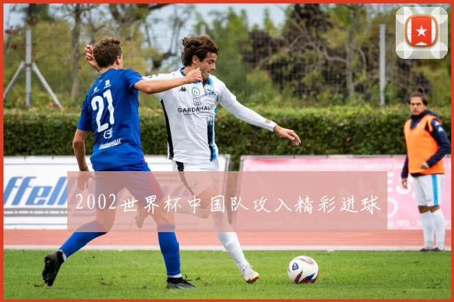 2002世界杯中国队攻入精彩进球