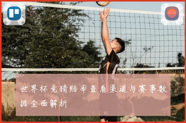 世界杯竞猜赔率查看渠道与赛事数据全面解析