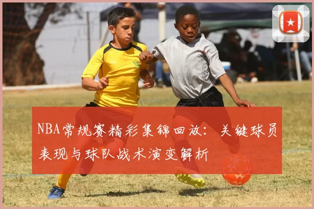 NBA常规赛精彩集锦回放：关键球员表现与球队战术演变解析