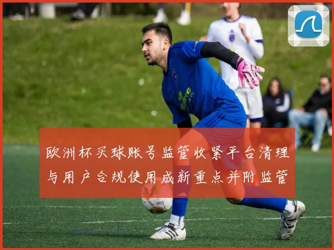 欧洲杯买球账号监管收紧平台清理与用户合规使用成新重点并附监管标准