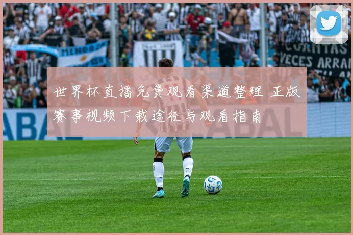 世界杯直播免费观看渠道整理 正版赛事视频下载途径与观看指南