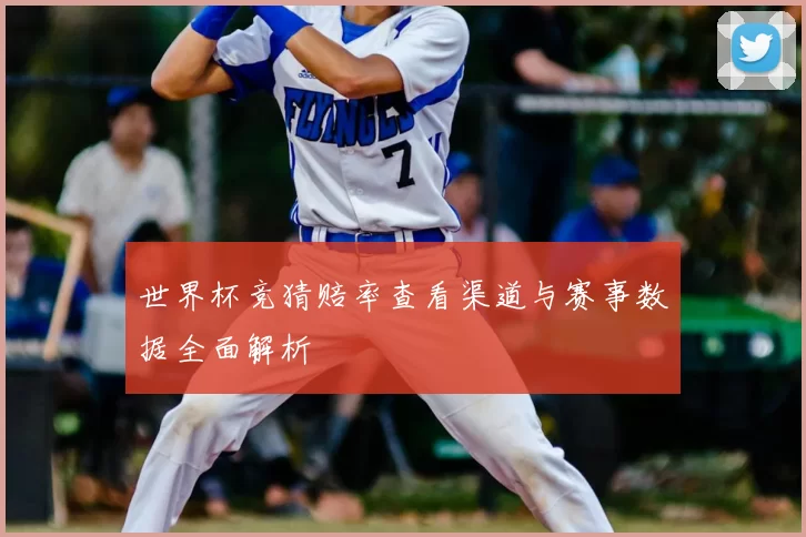 世界杯竞猜赔率查看渠道与赛事数据全面解析